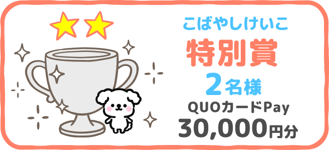こばやしけいこ 特別賞 2名様 QUOカードPay 30,000円分