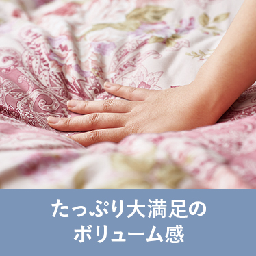 たっぷり大満足のボリューム感