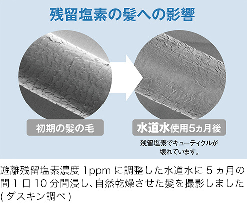 残留塩素の髪への影響