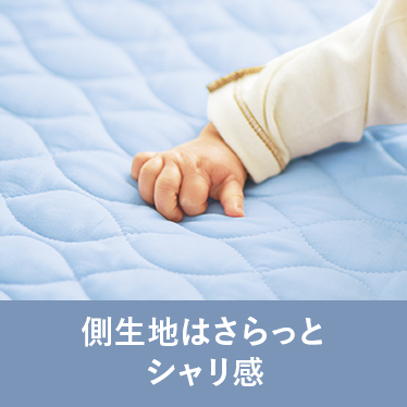 側生地はさらっとシャリ感
