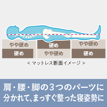 肩・腰・脚の3つのパーツに分かれて、まっすぐ整った寝姿勢に