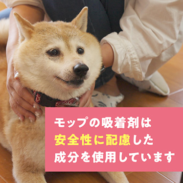 吸着剤の安全性