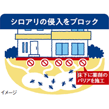 シロアリ防除（バリア工法）