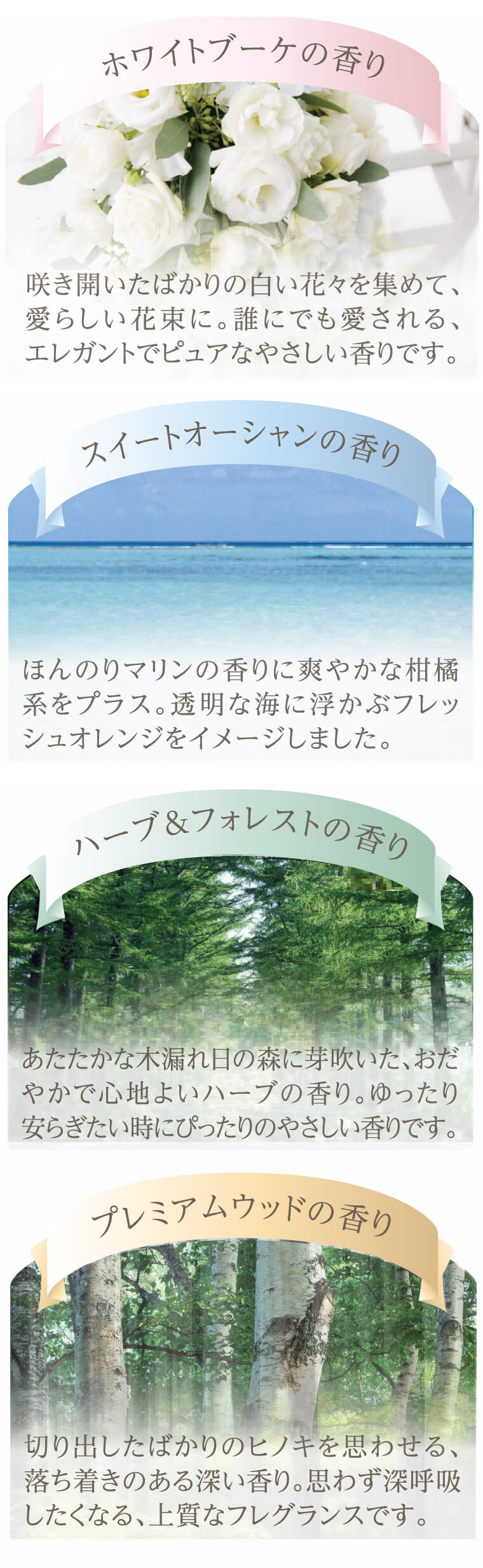 選べる4つの上質な香り