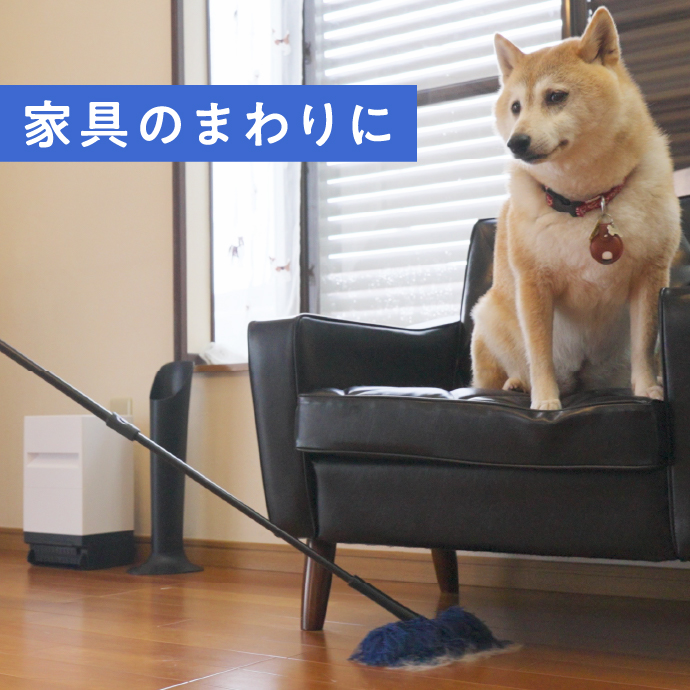 家具のまわりに