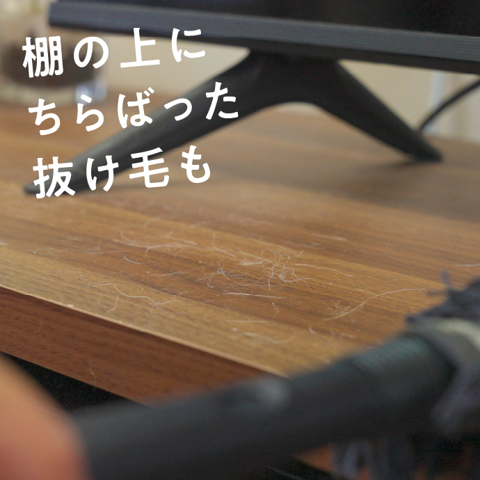 棚の上にちらばった抜け毛もスッキリ！