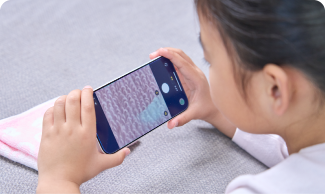 スマホで撮影