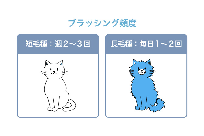 ブラッシング頻度 短毛種:週2~3回 長毛種:毎日1~2回