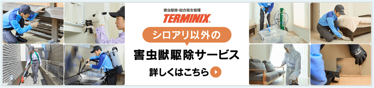 TERMINIX シロアリ以外の害虫獣駆除サービス 詳しくはこちら