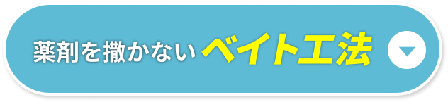 薬剤を撒かないベイト工法