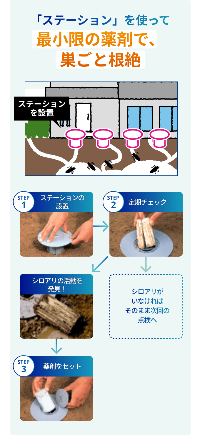 「ステーション」を使って最小限の薬剤で、巣ごと根絶