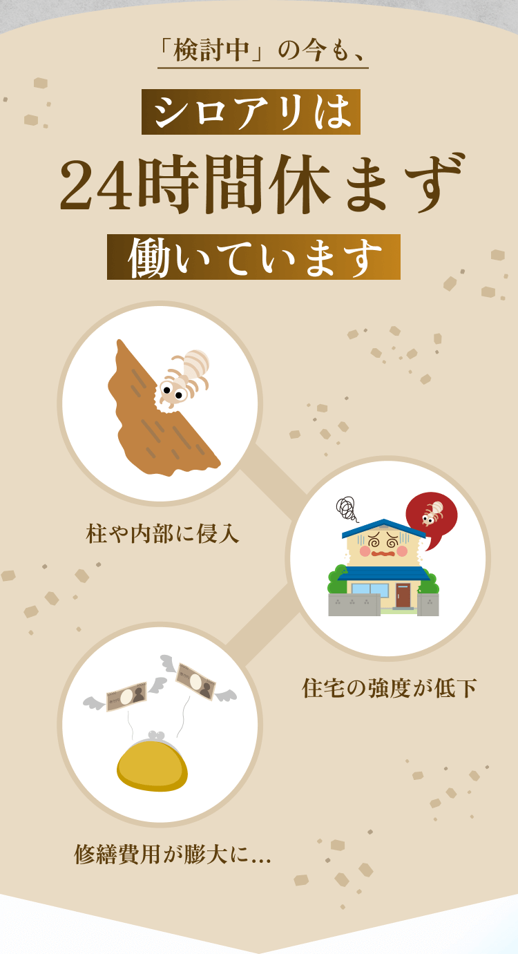 「検討中」の今も、シロアリは24時間休まず働いています