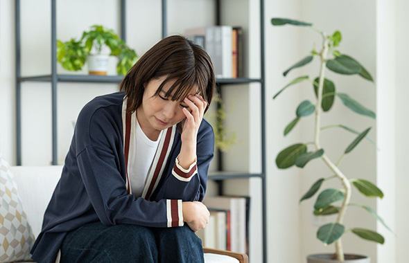 家で見かける蜘蛛（クモ）の種類｜生態や見分け方、咬まれた時の対処法を解説