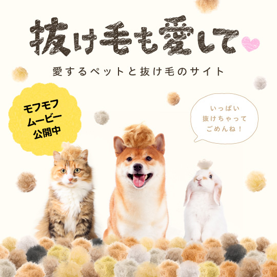 抜け毛も愛して