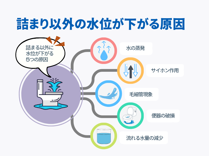 詰まり以外で水位が下がる５つの原因 水の蒸発 サイホン作用 毛細管現象 便器の破損 流れる水量の減少